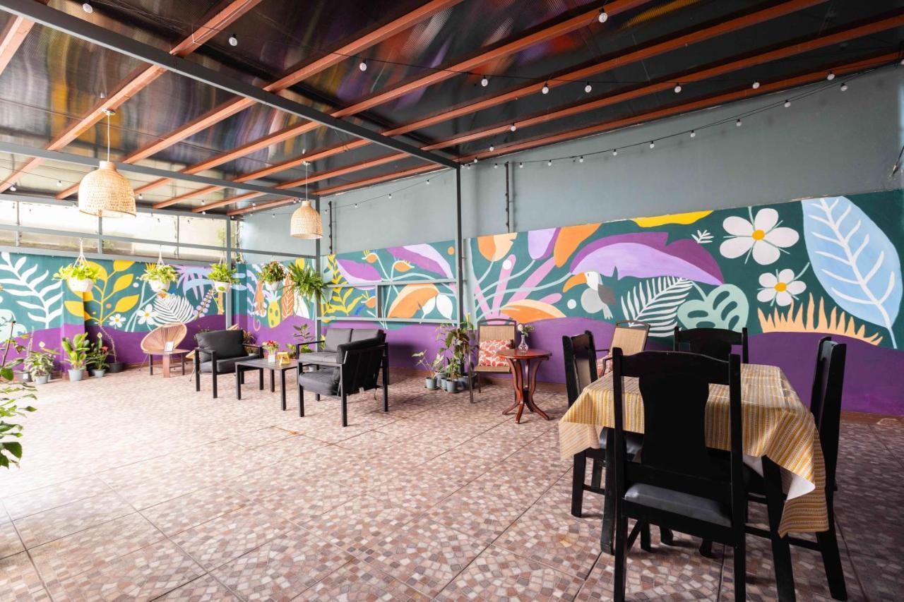 Viva Guest House San Jose  Ngoại thất bức ảnh