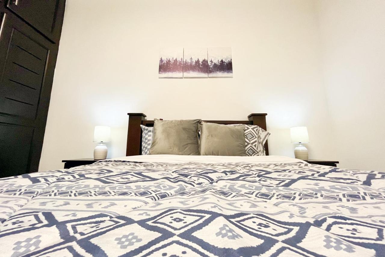 Viva Guest House San Jose  Ngoại thất bức ảnh