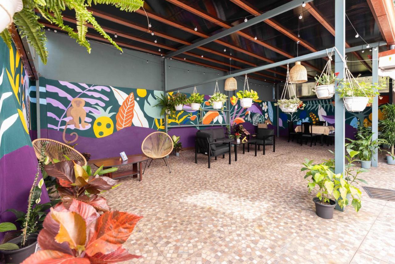 Viva Guest House San Jose  Ngoại thất bức ảnh